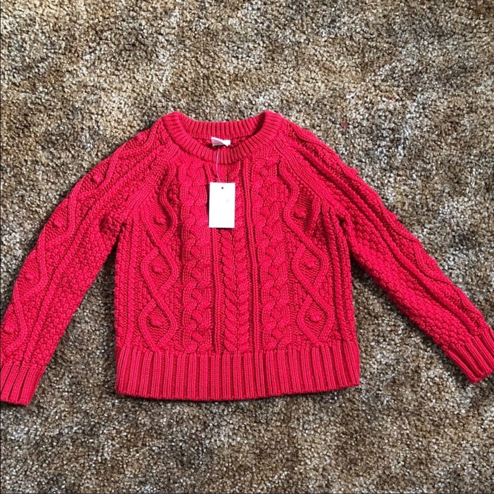 COPY - Gap sweater for toddler girls.